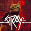 Stray